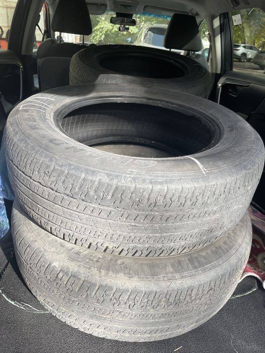 Dunlop grantrek 225 65