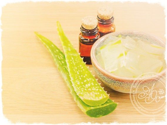 Алое вера гүлдері