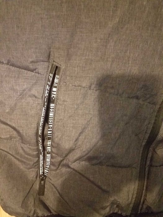 Vesta captusita (Chapter/Takko), XL