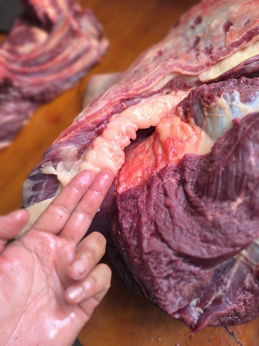 Соғым жылқы еті ертең сойылады