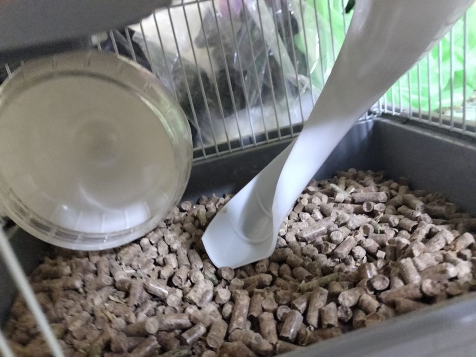 Продаються срочно хомяки 2 шт со клеткой со всем