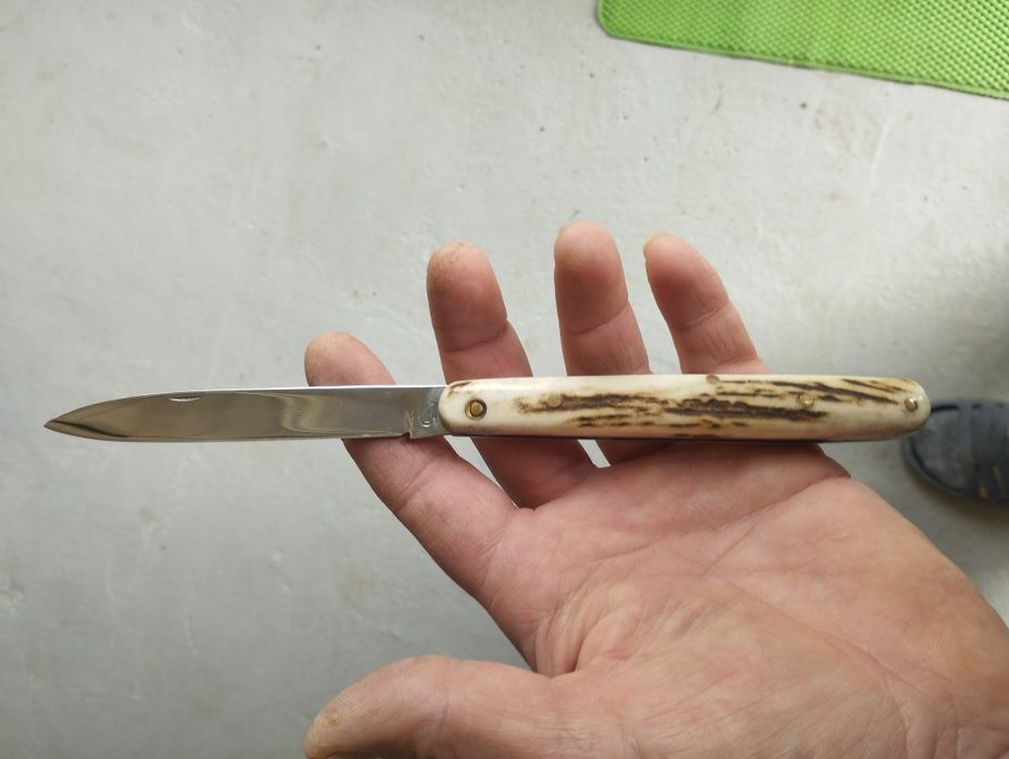 Дегустатурска ножка