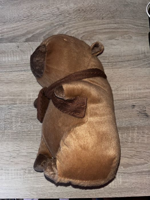 Vand plush capybara