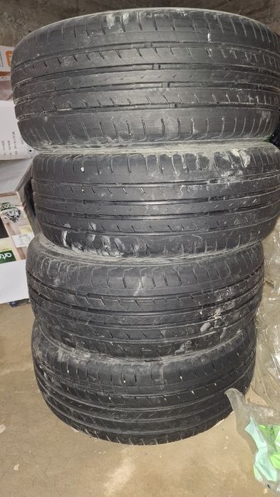 Gentraga b u balonlar