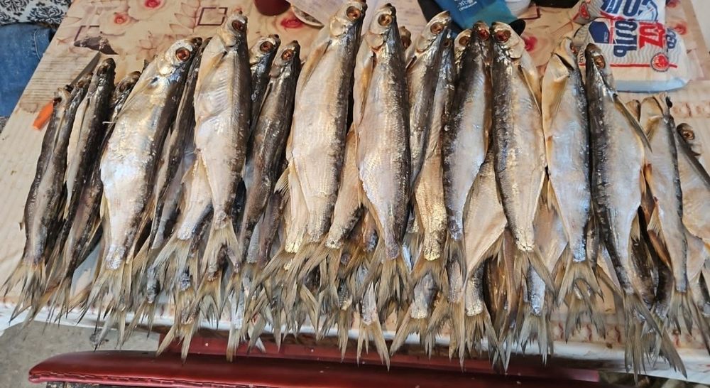 Продам вяленую рыбу