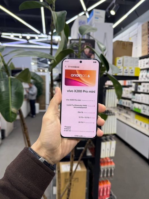 Vivo X200 Pro mini