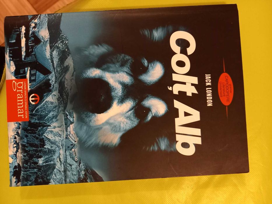 8 Carti din bibliografia scolara pentru copii