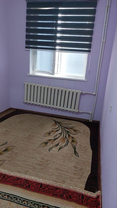 Тезда 11 паленика ижарага берилади