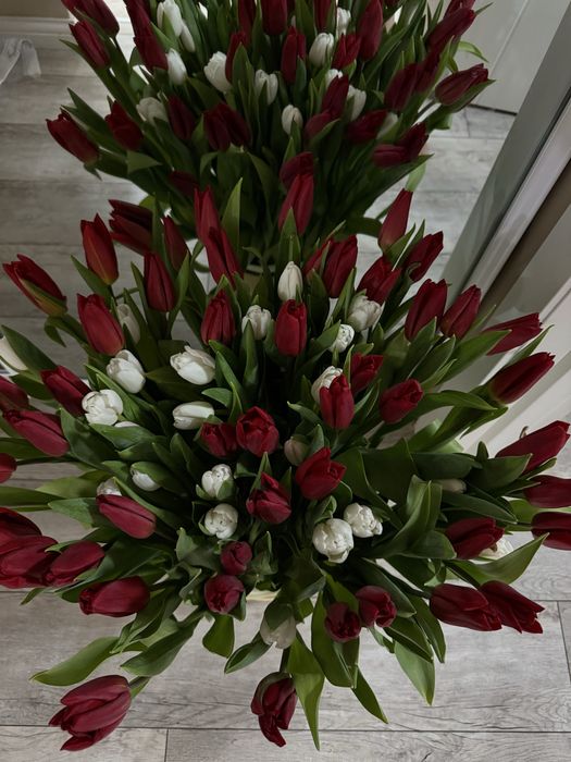 Тюльпаны букет 71 шт
