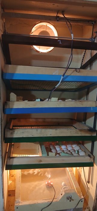 Инкубатор сотилади 350 талик ишлаши  зур.Автоматика