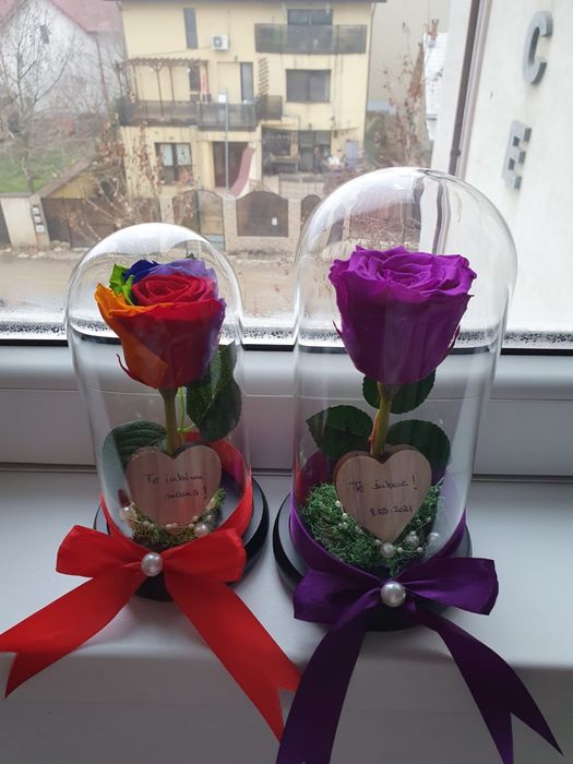 Trandafir criogenat conservat mov