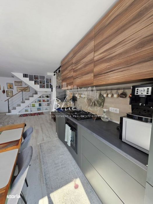 Apartament exclusivist in vila cu vedere frontala la lac si ponton