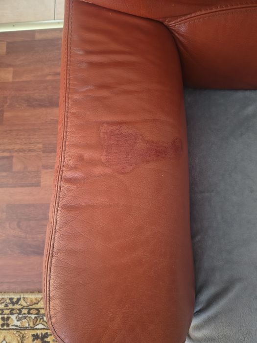 Canapea extensibila din piele