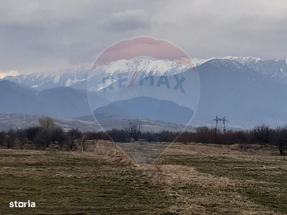 Teren 10,000mp Rasnov / Drumul Panicel
