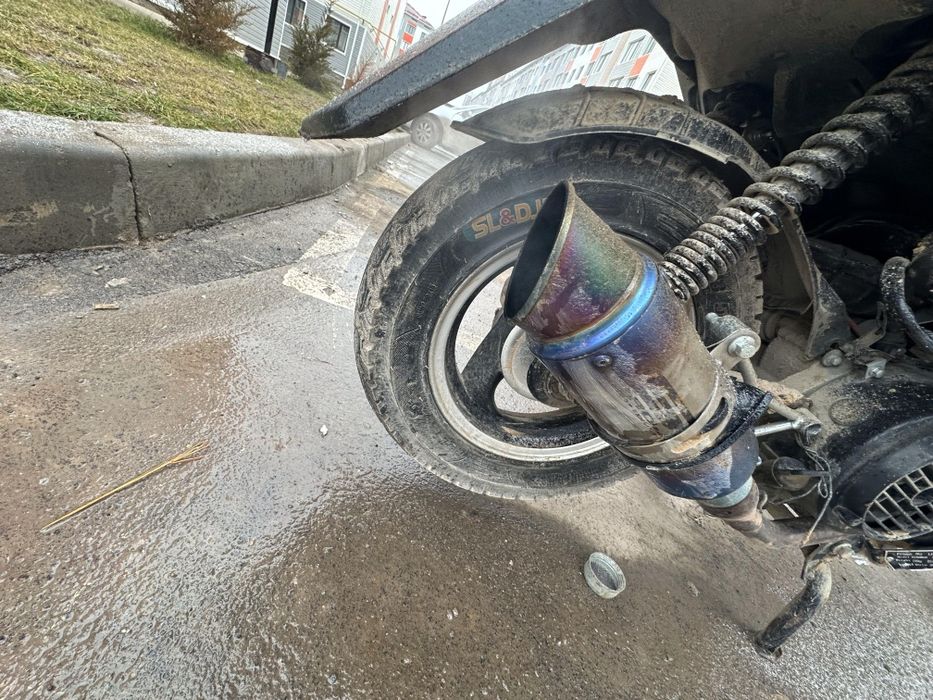 М8 жағдай ләлә тез алып қалыңдар