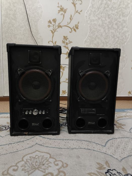 Продаются  колонки Telieyi (пара)