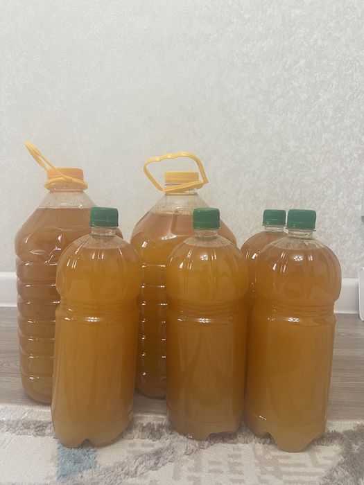 Катон-Карагайский мед из собственной пасеки