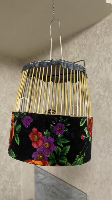 Bedana Italia sayroqi