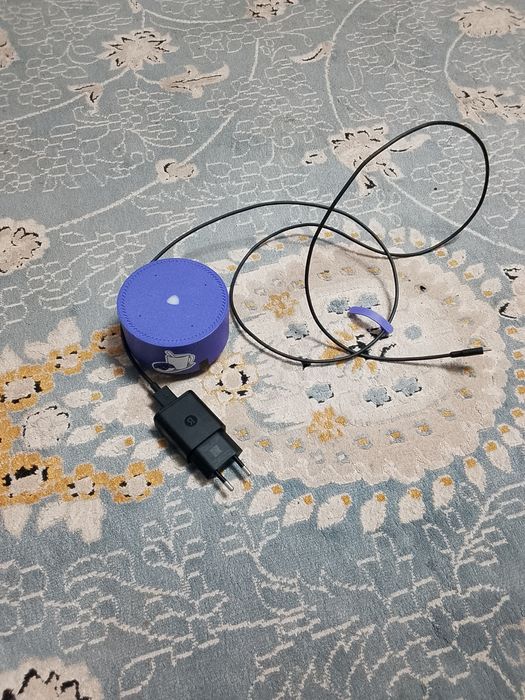 Алиса калонка жағдайы жақсы