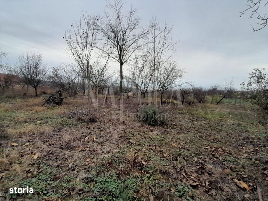 Teren intravilan pentru constructii de vanzare in Paleu, Oradea