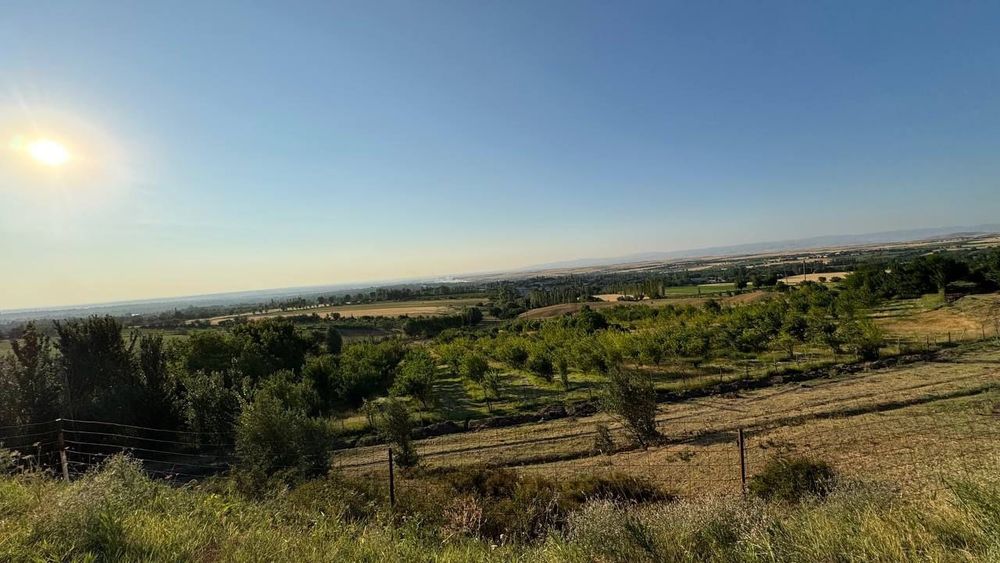 Продаётся фермерское хозяйство 11 га..