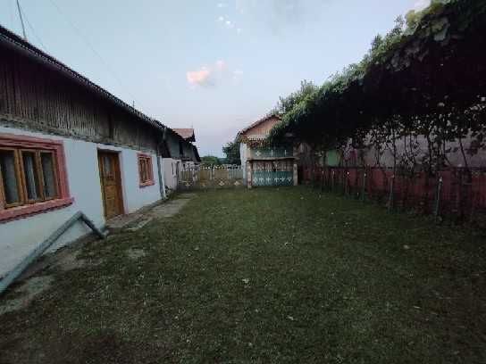 vand casa cu teren