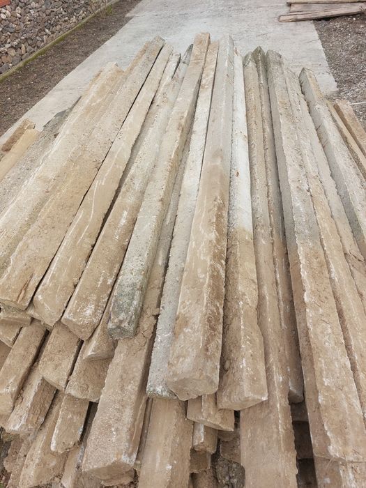 Spalieri cu armatura,stâlpii de beton