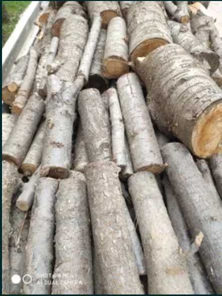 Утин сотилади Лабода, доставка