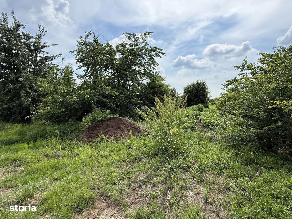 Teren intravilan 498,02 mp langa pădure , strada privata Corbeanca