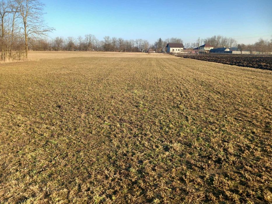 Vând teren 3.850 m2 cu casă batraneasca in com.Raucesti