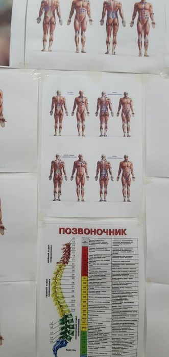 100%профессиональный массаж