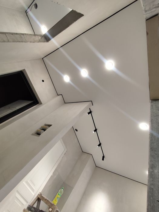 Натежной поталок 1850