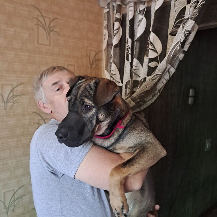 Парень ищет девушку