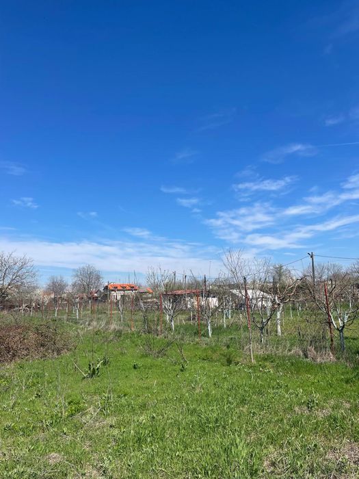 Proprietar vând teren intravilan în satul Runcu comuna Dascalu