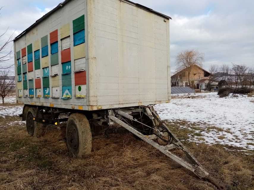 Pavilion apicol,48 stupi,itp