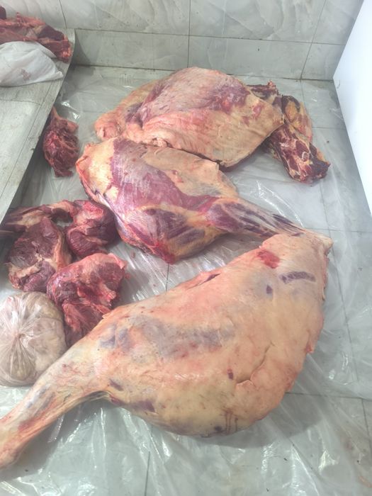 Соғым ет жылқы еті