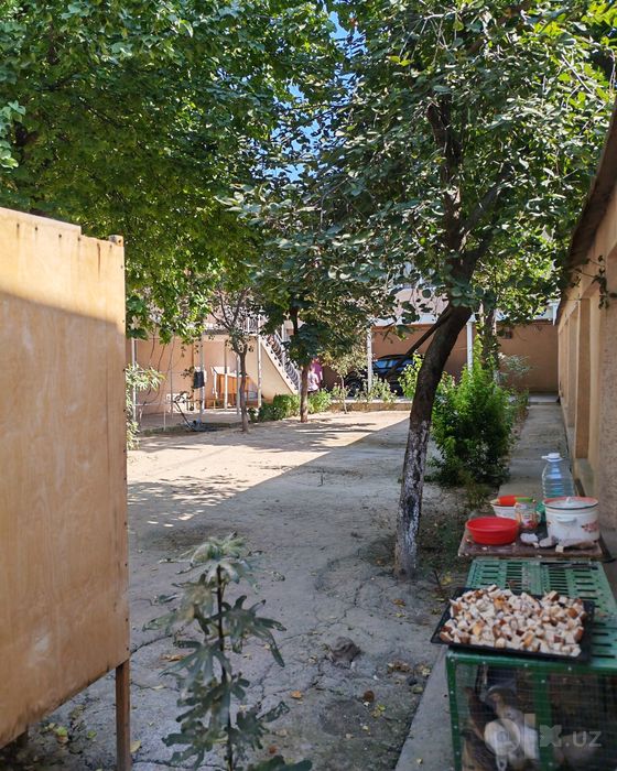 SEBZORDA hovli sotiladi