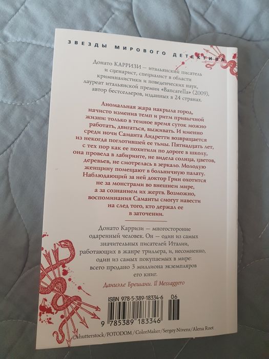 Девушка в лабиринте книга