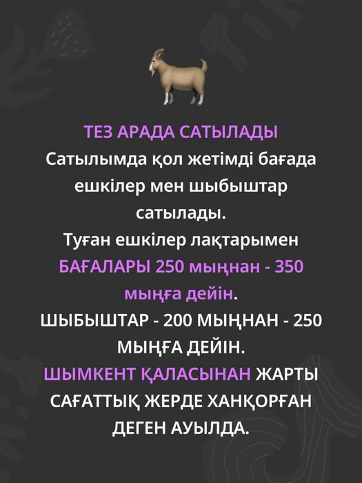 Сауынды ешкілер мен шыбыштар сатылады.