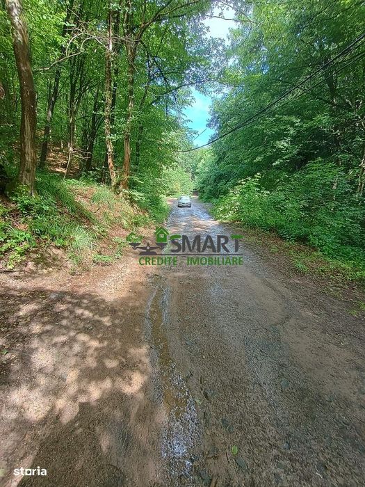 Teren-Padure de Vanzare Zona Valea Borcutului