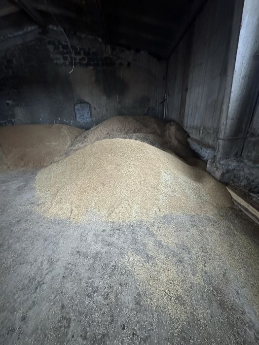 Продам зерноотходы