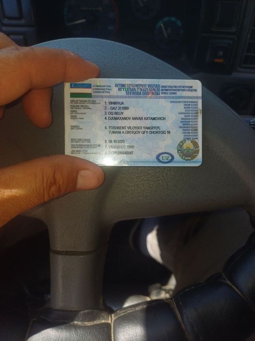 Volga 3110 prsepi biln