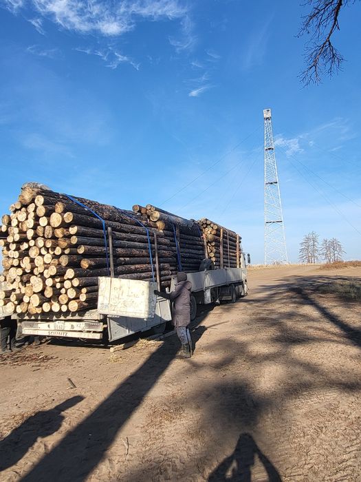 Дрова жерди деловой трёшки 2.5
