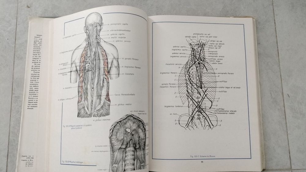 Atlas de anatomie umana, C.Cerbulescu ,1983, vol.1