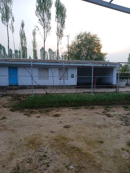 Жилой дом бука район бустон