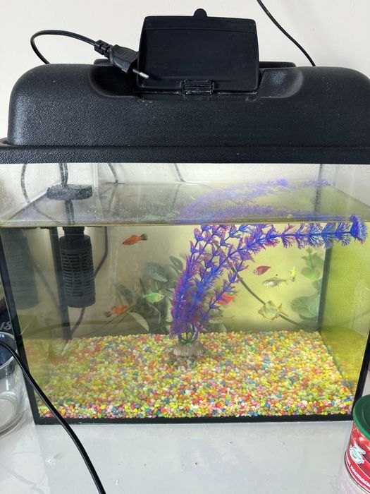 Аквариум продается