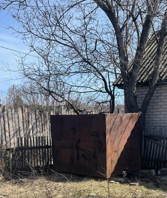 Дача хороший, 4 яблони вкусные