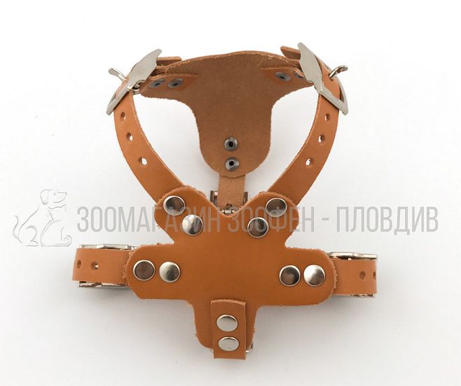 Нагръдник за Мини породи Куче - Естествена Кожа - Регулируем Размер