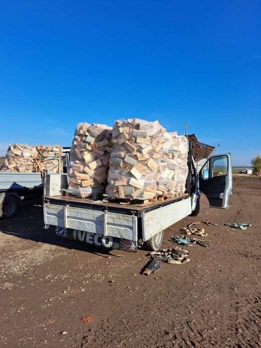 Lemne de foc fag tăiate și crăpate