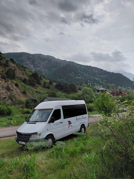 Пассажирские перевозки